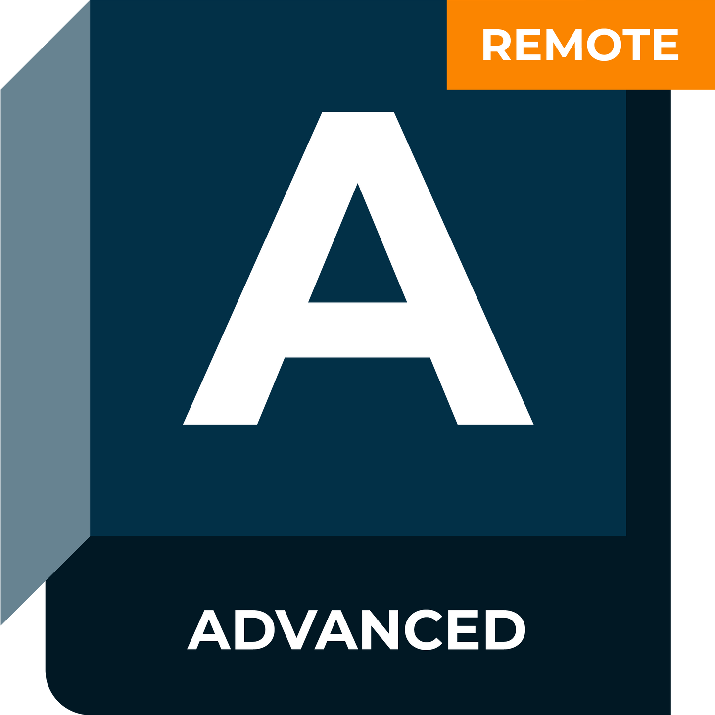 AutoCAD Advanced Remote Training