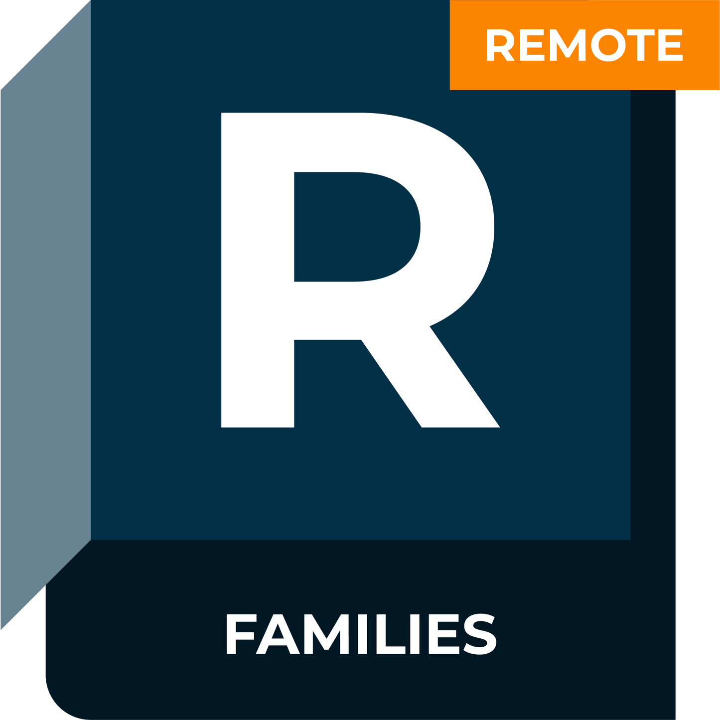 Revit Families Remote Training